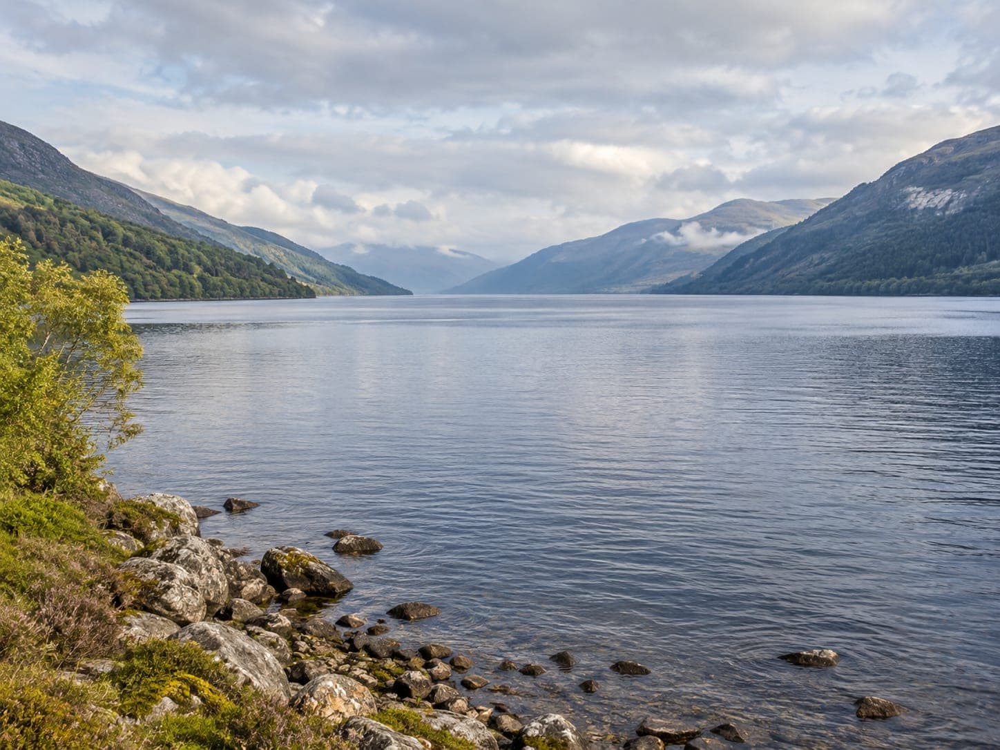 The still surface of Loch Ness with forested banks on either side